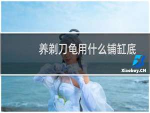 养剃刀龟用什么铺缸底