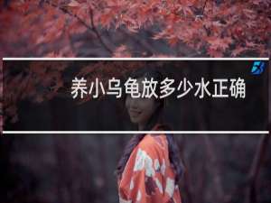 养小乌龟放多少水正确