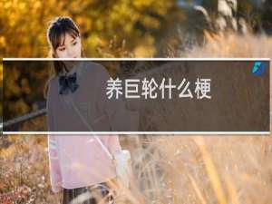 养巨轮什么梗？什么梗
