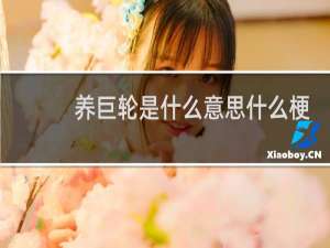养巨轮是什么意思什么梗