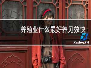 养殖业什么最好养见效快