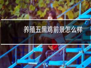 养殖五黑鸡前景怎么样