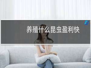 养殖什么昆虫盈利快