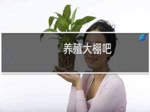 养殖大棚吧