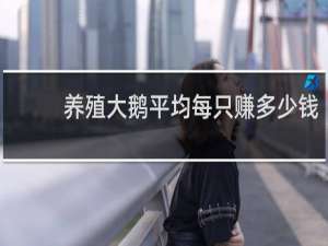 养殖大鹅平均每只赚多少钱