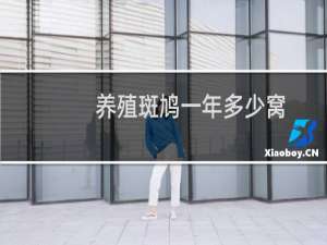 养殖斑鸠一年多少窝