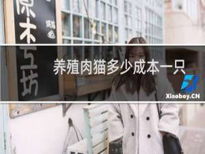 养殖肉猫多少成本一只