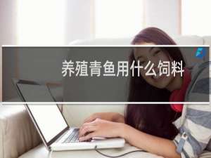 养殖青鱼用什么饲料