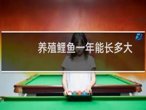 养殖鲤鱼一年能长多大