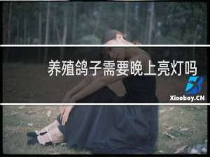 养殖鸽子需要晚上亮灯吗