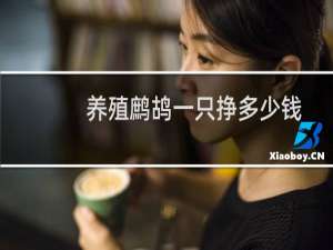 养殖鹧鸪一只挣多少钱