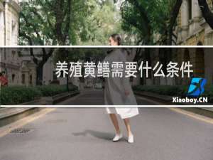 养殖黄鳝需要什么条件