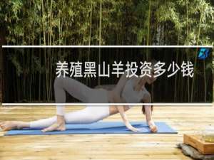 养殖黑山羊投资多少钱