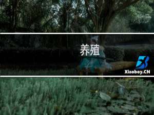 养殖 养鱼
