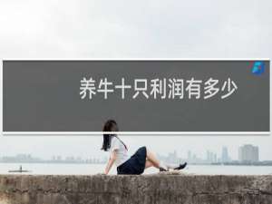 养牛十只利润有多少