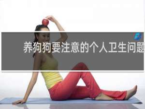 养狗狗要注意的个人卫生问题