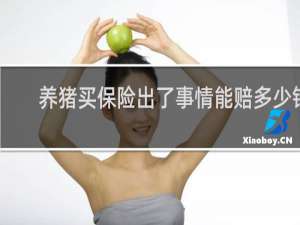 养猪买保险出了事情能赔多少钱