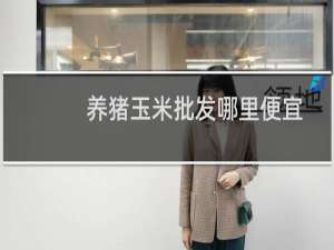 养猪玉米批发哪里便宜