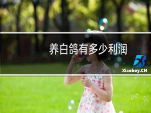 养白鸽有多少利润