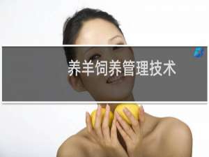 养羊饲养管理技术