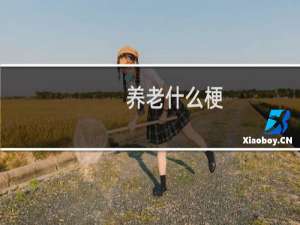 养老什么梗