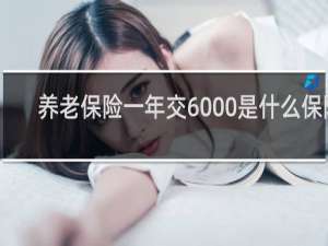 养老保险一年交6000是什么保险