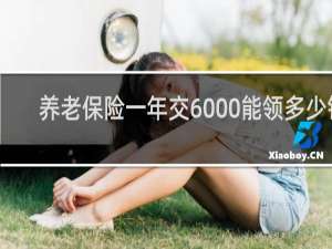 养老保险一年交6000能领多少钱