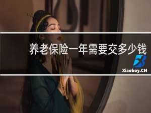 养老保险一年需要交多少钱