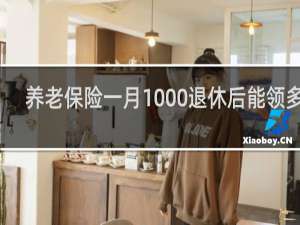 养老保险一月1000退休后能领多少