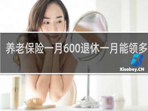 养老保险一月600退休一月能领多少钱