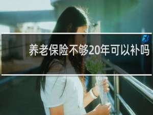养老保险不够20年可以补吗