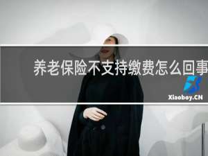 养老保险不支持缴费怎么回事