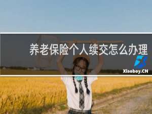 养老保险个人续交怎么办理