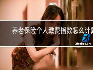 养老保险个人缴费指数怎么计算