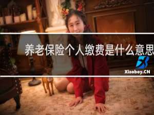 养老保险个人缴费是什么意思