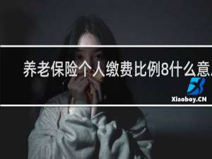 养老保险个人缴费比例8%什么意思