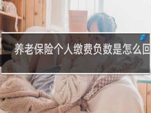 养老保险个人缴费负数是怎么回事