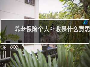 养老保险个人补收是什么意思