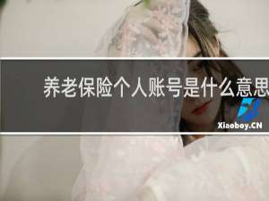 养老保险个人账号是什么意思