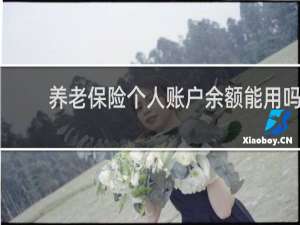 养老保险个人账户余额能用吗