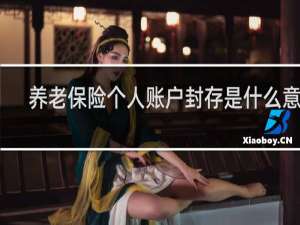 养老保险个人账户封存是什么意思