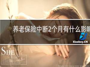 养老保险中断2个月有什么影响