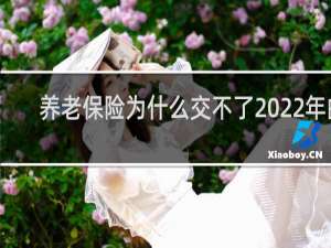 养老保险为什么交不了2022年的