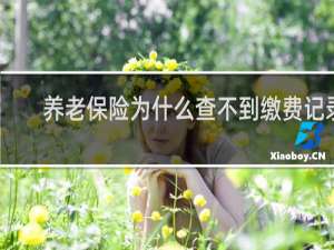 养老保险为什么查不到缴费记录