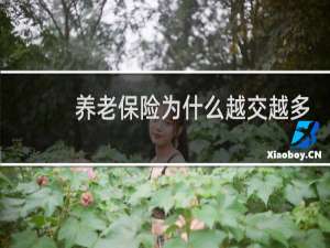 养老保险为什么越交越多