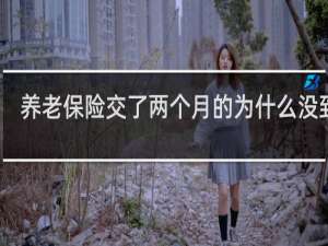 养老保险交了两个月的为什么没到账