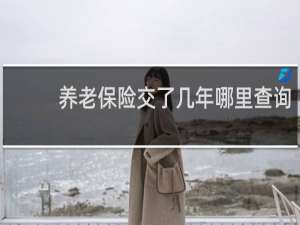 养老保险交了几年哪里查询