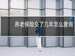 养老保险交了几年怎么查询