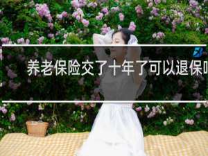 养老保险交了十年了可以退保吗