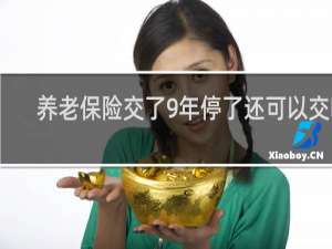 养老保险交了9年停了还可以交吗